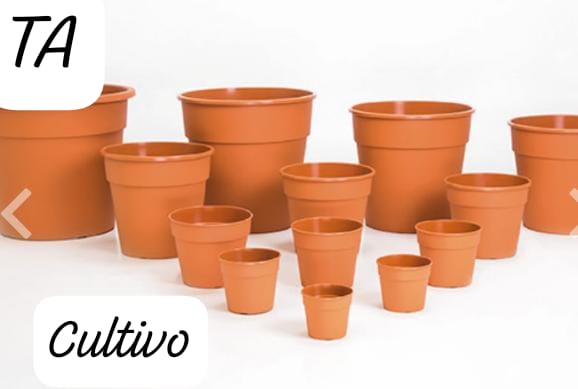 Maceta TA Cultivo N°13
